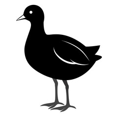 Moorhen vector clean black silhouette design white background
