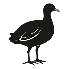 Moorhen vector clean black silhouette design white background