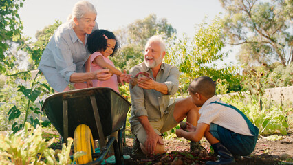 Grandchildren Helping Grandparents Working In Vegetable Garden Or Allotment With Barrow At Home
