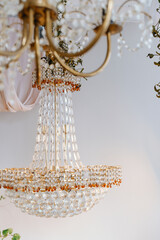 Elegant crystal chandelier enhances modern interior decor in softly lit space