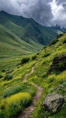 Naklejka premium Winding Mountain Path Through Green Grass and Yellow Flowers.