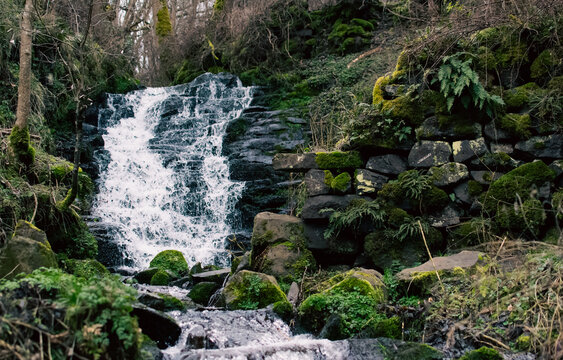 Ruisseau en cascade