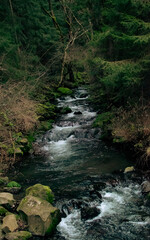 Ruisseau de montagne