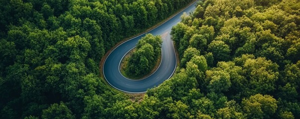 Summer photo of a winding forest road curve, symbolizing the beauty and serenity of nature during the warm season, Generative AI