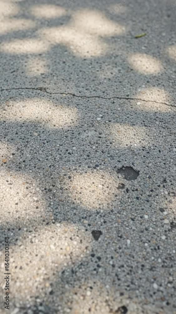 Poster cracked gray concrete ground surface texture with shadows from trees creating an abstract pattern on