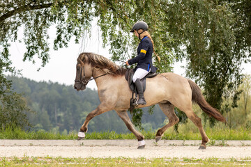 A young woman riding an icelandic horse in trot at an equestrian competition