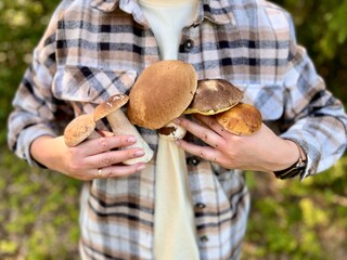 Close-up of woman's hands holding porcini mushrooms against chest, rustic harvest moment.
