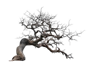 old dead spooky tree for halloween, transparent png 