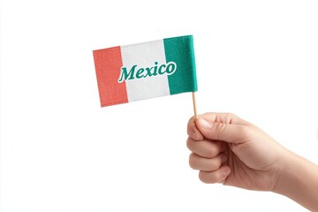 Hand holding a small flag of Mexico, representing pride and national identity.