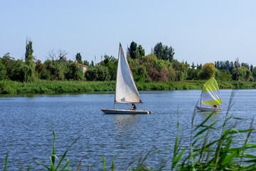 Sailboats sail on the water on a sunny day.