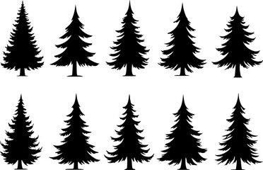 pine, tree, silhouette, evergreen, forest, nature,  vector bundle graphics