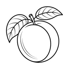 A black and white fruit apricot illustration line art of a coloring page