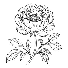 A black and white peony illustration line art of a coloring page 