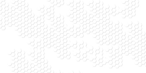 Background with hexagons . Abstract background with lines . white texture background . white and hexagon abstract background. white paper texture and futuristic business .	
