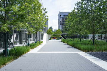 empty brick ground with modern building