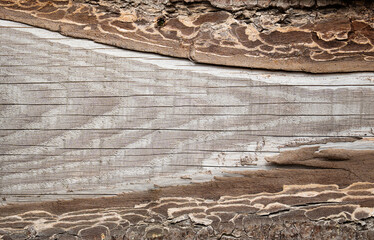 Close Up Dark Wood Texture Background,Top view old brown wooden with natural pattern surface