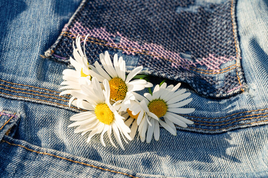 Daisies tucked in denim for a fresh lifestyle vibe