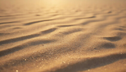 Soft golden sand glimmers under warm sunlight at a serene beach location during late afternoon hours