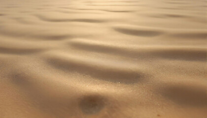 Fototapeta premium Soft golden waves of sand ripple under the warm sunlight in a serene desert landscape at sunset
