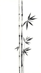 Naklejka premium bamboo isolated on white