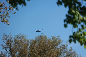 A helicopter is flying over a tree with leaves