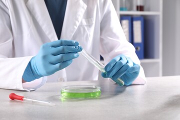 Scientist taking sample at grey table in laboratory, closeup. Solution chemistry