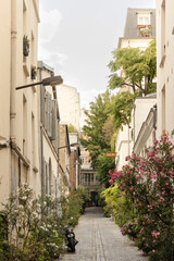 Cute street in Paris