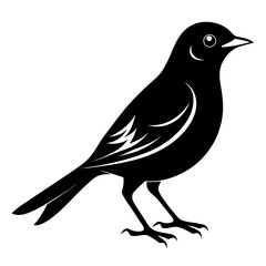Nightingale vector clean black silhouette design white background