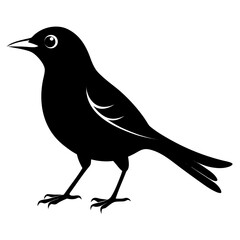 Nightingale vector clean black silhouette design white background
