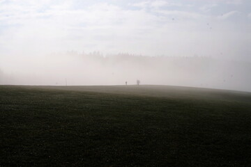 Foggy field with a person walking in the distance