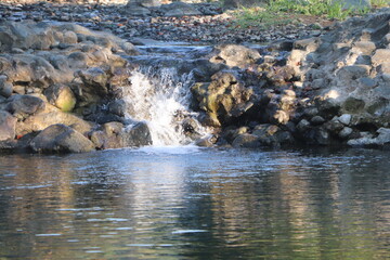 Tropical River in Indonesia with Hidden Bicycle Color Blind Test

Ishihara Color Vision Chart Featuring Indonesian Tropical River and Bicycle
