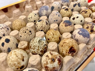 quail eggs on wooden background