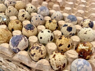 quail eggs in a basket