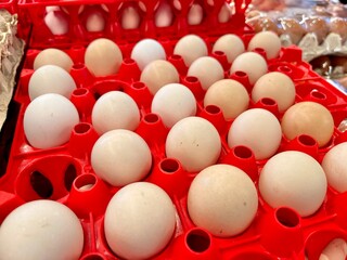 eggs in the market