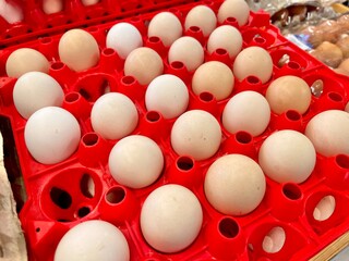 easter eggs in a basket