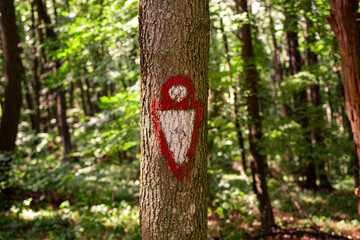 Trail marker on a tree trunk in a forest. Hiking symbol on a tree trunk in a forest. Fruska Gora trail marker