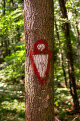 Trail marker on a tree trunk in a forest. Hiking symbol on a tree trunk in a forest. Fruska Gora trail marker
