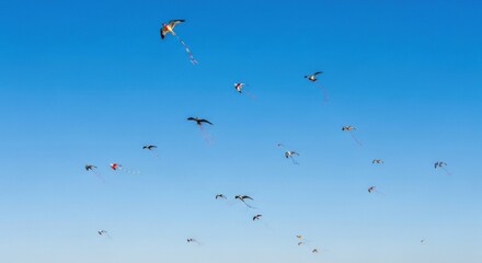 Kites dance in the vast blue expanse, a vibrant symphony of colors and freedom