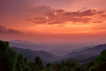 Fototapeta premium breathtaking sunsets captured in dense forests across different countries with nature untouched beauty