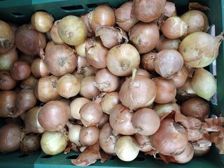 Box with onions, close-up background