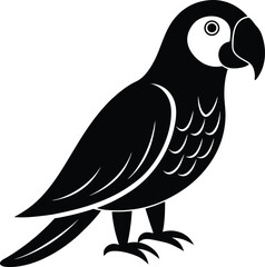 Parrot glyph and line vector illustration