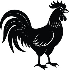 Beautiful Black Rooster Vector Illustration Silhouette