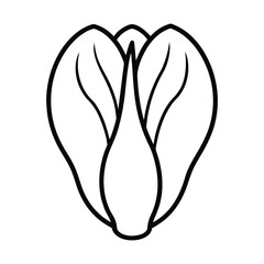  outline bok choy on a white background 