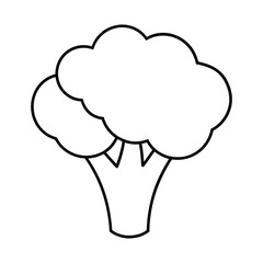 outline broccoli floret on a white background