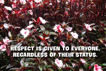 Strong character quotes - Respect is given to everyone, regardless of their status.