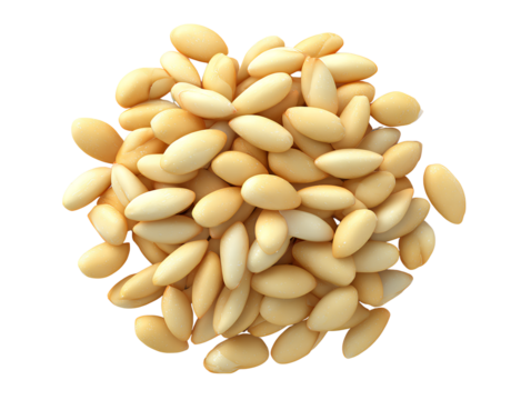  Pile of raw pine nuts isolated on transparent background