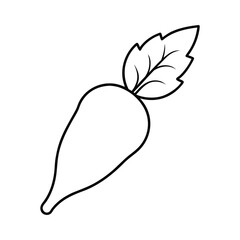 vector illustration of a leaf