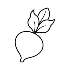 outline radish with leaves on a white background.