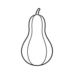outline squash with stem on a white background.