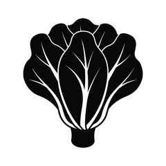 silhouette illustration bok choy on white background